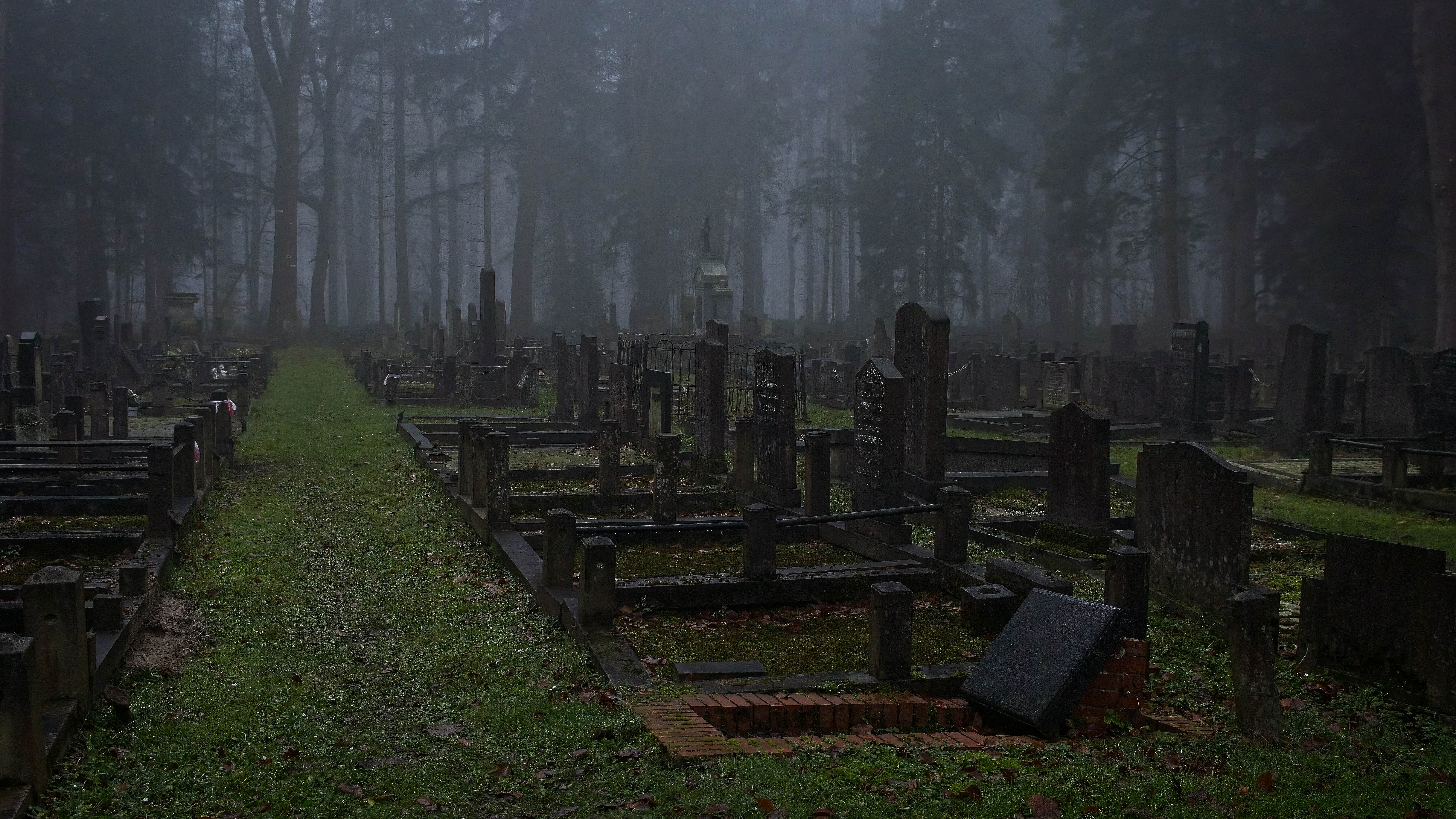 Klik om te vergroten