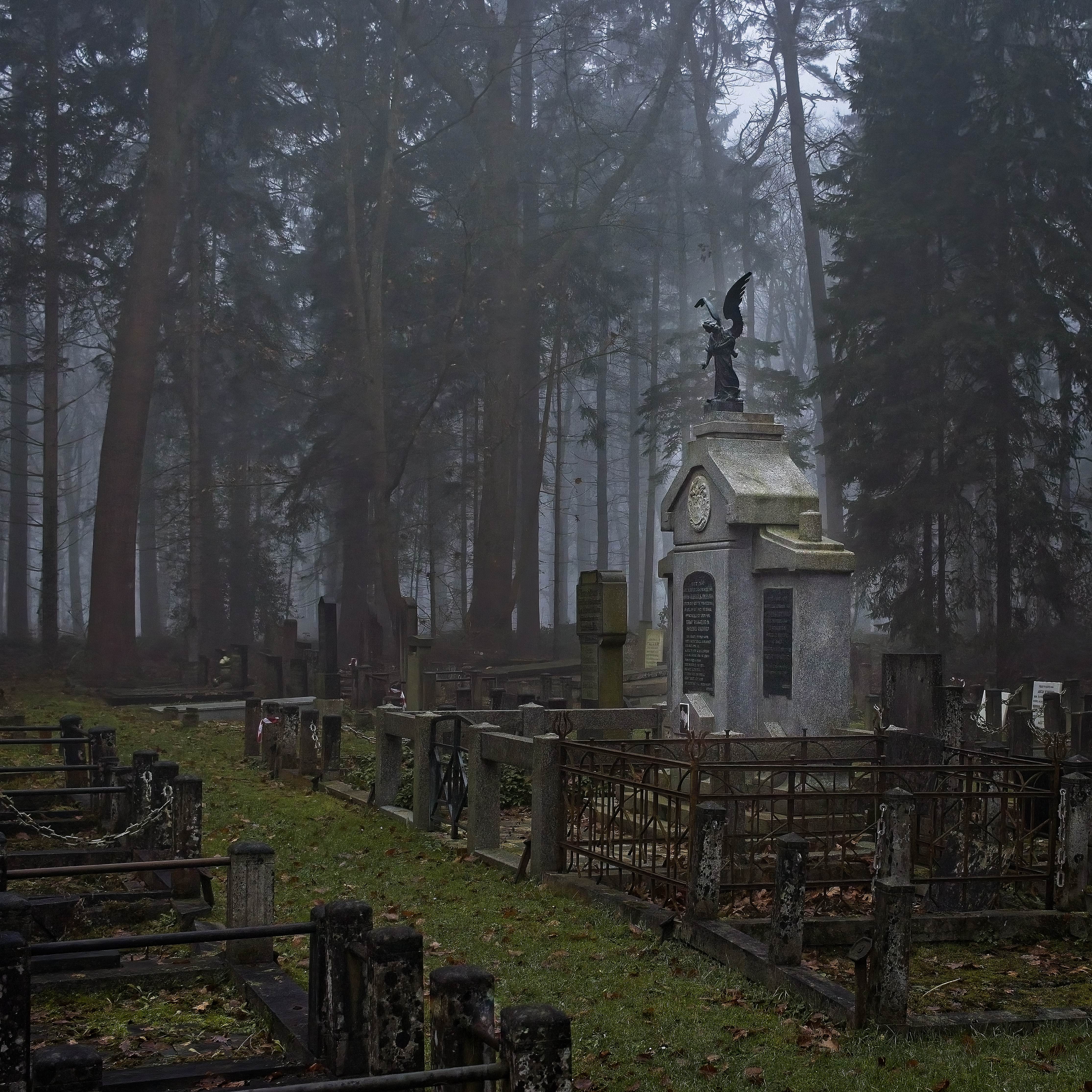 Klik om te vergroten