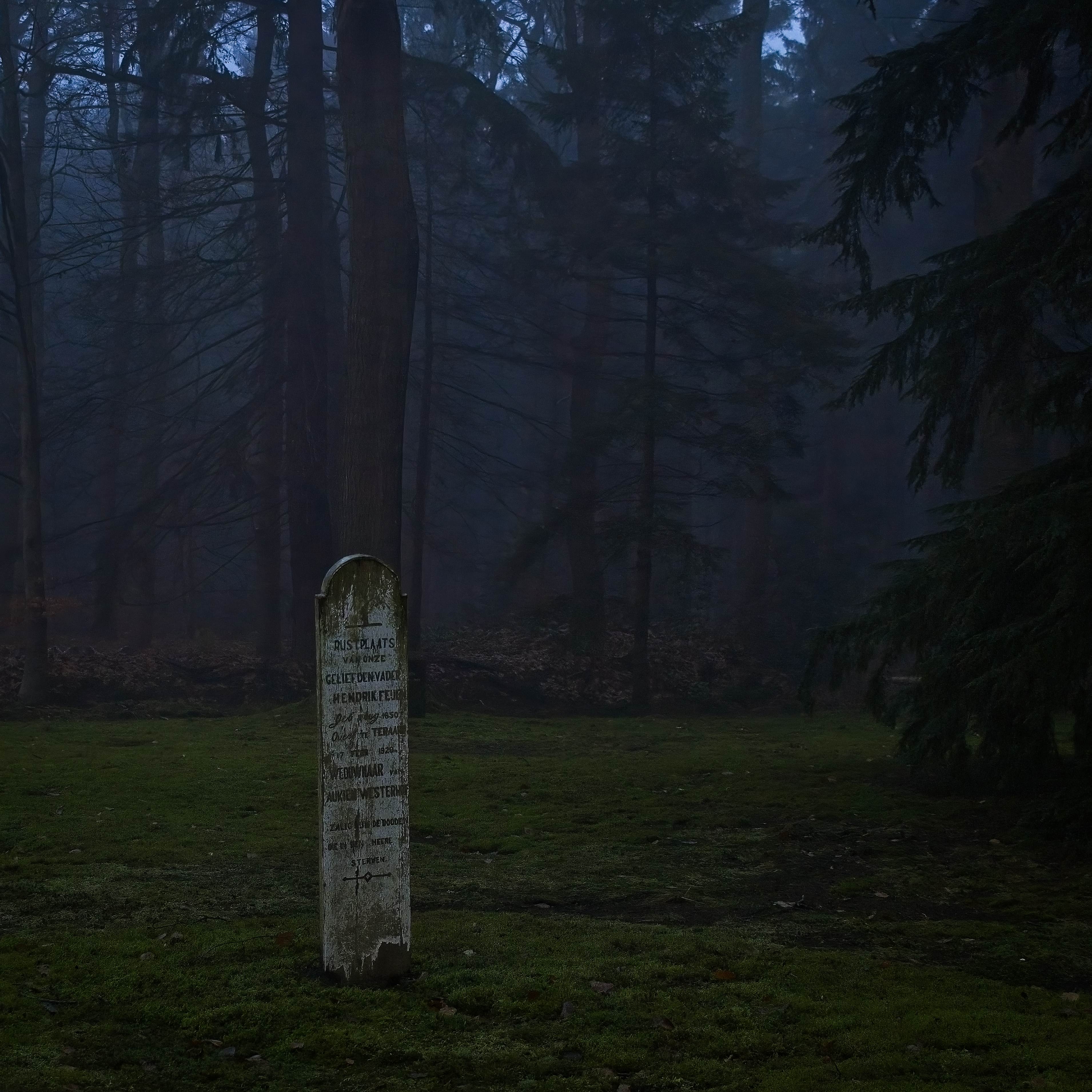 Klik om te vergroten