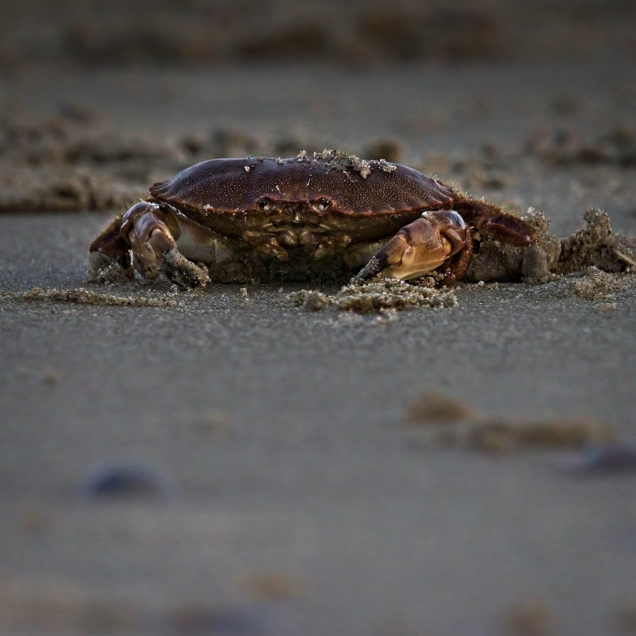 Klik om te vergroten